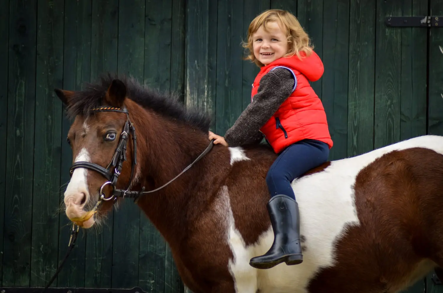 Kinder mit Pferden von Thomas&thomas Tiertransporte