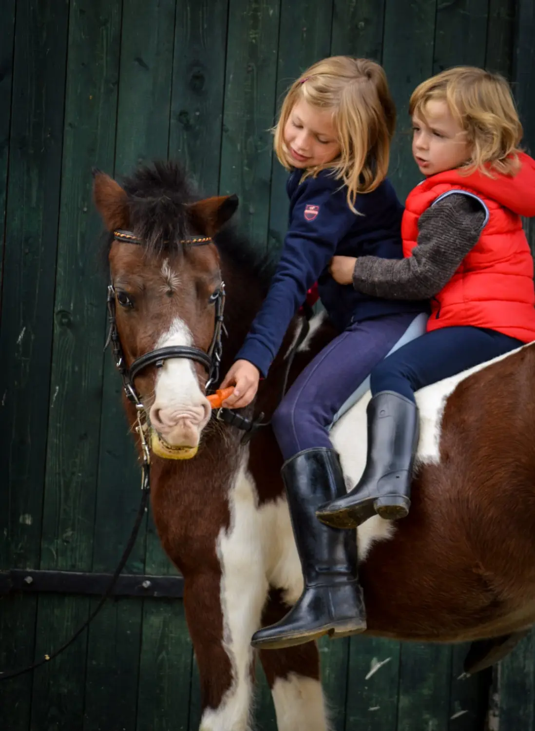 Kinder mit Pferden von Thomas&thomas Tiertransporte